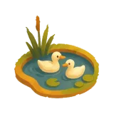 Duck Pond