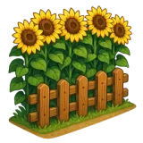 Sunflower Row