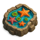 Tide Pool